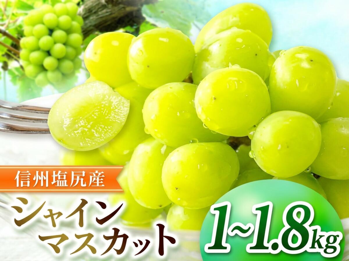 【ふるさと納税】【2026年先行予約】塩尻市産 シャインマスカット【選べる内容量 ！約1～1.8kg】 ≪2026年9月下旬～順次発送≫ | シャイン ぶどう 葡萄 ブドウ くだもの 果物 フルーツ マスカット しゃいん ますかっと 先行 先行予約 旬 塩尻 長野 信州