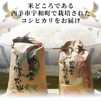 ふるさと納税 西予市 【先行予約】新米 <令和7年産 コシヒカリ「つるの寝どこまい」約5kg 西予市宇和町産> |  | 01