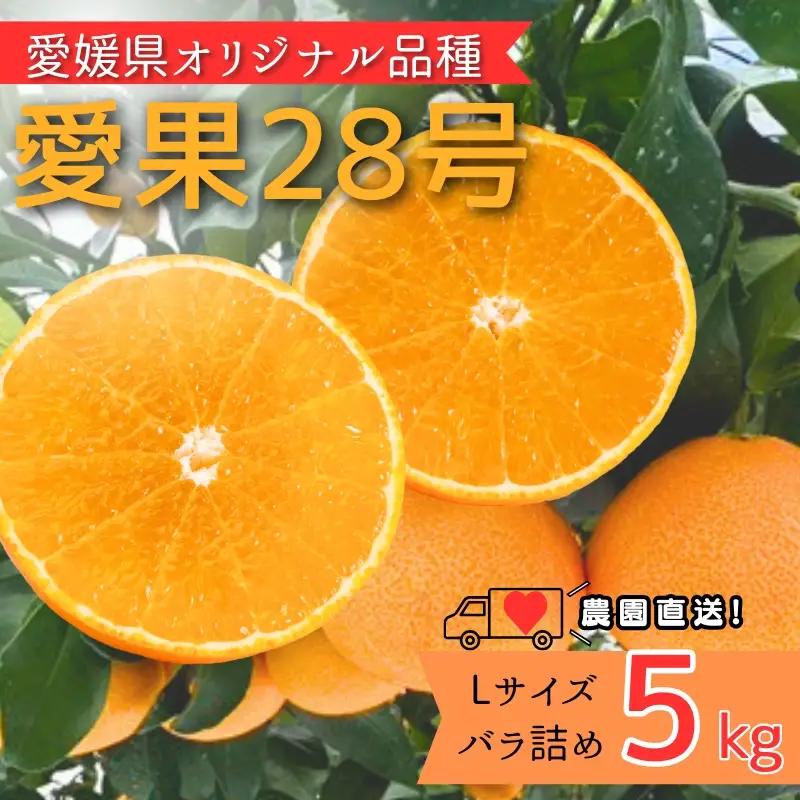 【2026年11月中旬より順次発送】愛果28号 5kg Lサイズ バラ詰め｜B529