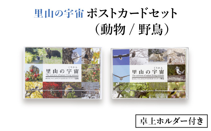 
            【内容選べる】ポストカードセット【泊和幸】（動物/野鳥）
          