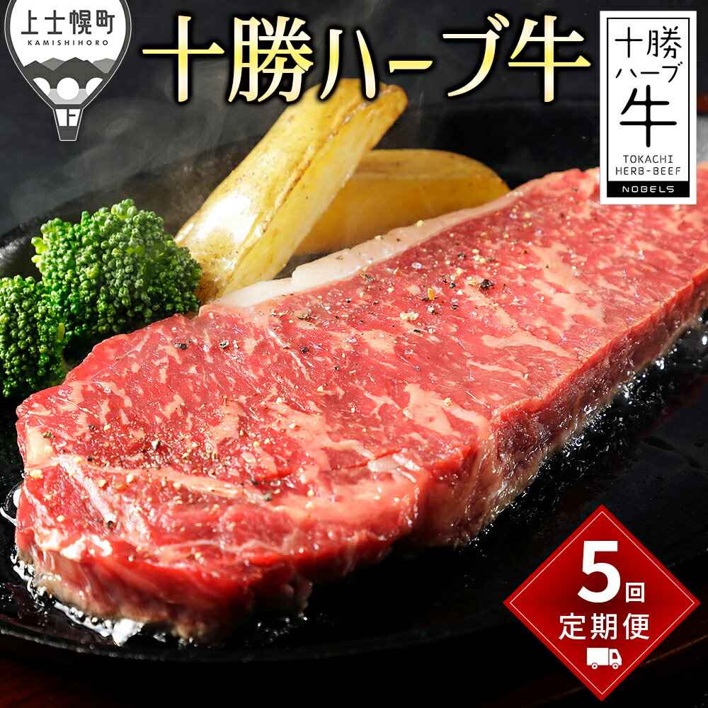 【ふるさと納税】十勝ハーブ牛 定期便 5回 5ヵ月コース ステーキ コンビーフ 焼肉 ローストビーフ ホルモン 国産 北海道 牛 肉 牛肉 赤身 冷凍 レビューキャンペーン対象品