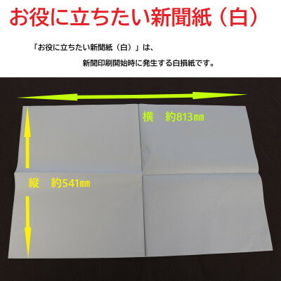 【ふるさと納税】お役に立ちたい新聞紙(白)5kg【配送不可地域：離島・沖縄県】【1384864】