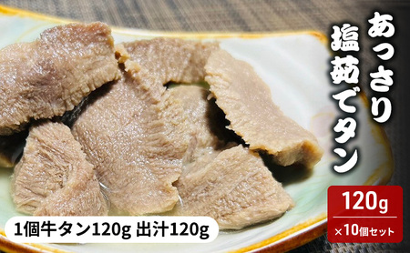 牛タン 120g × 10個 出汁 牛たんセット 塩タン 