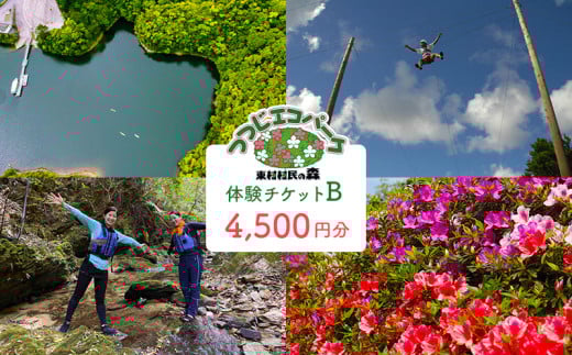 つつじエコパーク　体験チケットB【4500円分】 やんばる ヤンバル 本島北部 体験 アクティビティ 自然 家族 ファミリー 友達 仲間 カヌー ダム ダム湖 子ども 子供 遊具 公園 探検 沖縄 東村