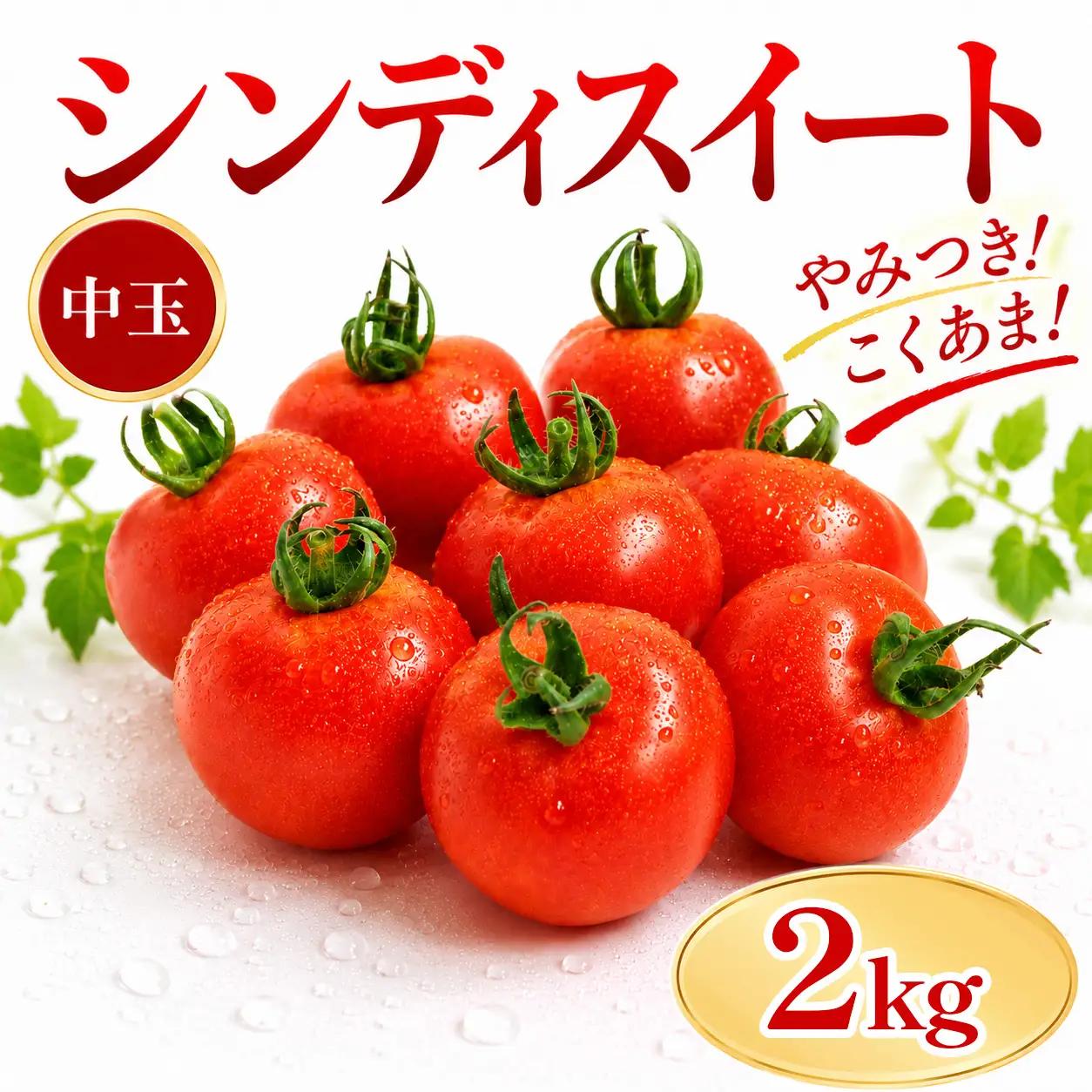 トマト 2kg シンディスイート 新鮮 産地直送 徳島県 三好市 【 野菜 】