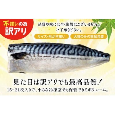 ふるさと納税 気仙沼市 訳あり 減塩 無添加 トロ塩サバ フィレ Mサイズ 総重量 3kg 20565687 |  | 01