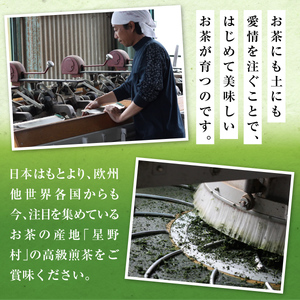 奥八女星野村 深蒸し高級煎茶(深蒸し茶)2袋200g UX017