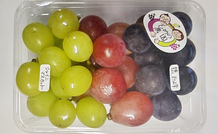 2024年産 ぶどう3種セット 約420g