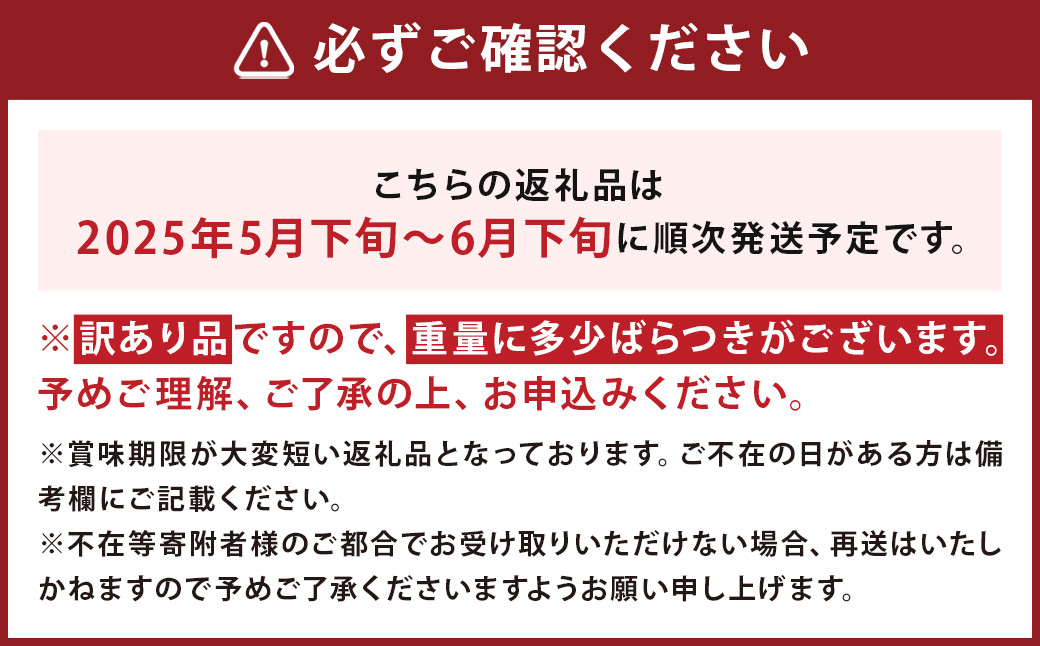 【訳あり】 選果落ち 加工用 露地びわ 約1.8kg ジャム用 コンポート用