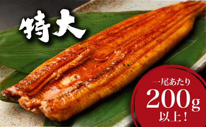 ＜順次配送＞ うなぎ 蒲焼き 白焼き 食べ比べセット 400g (200g×各1尾) 冷蔵 21ys-0009