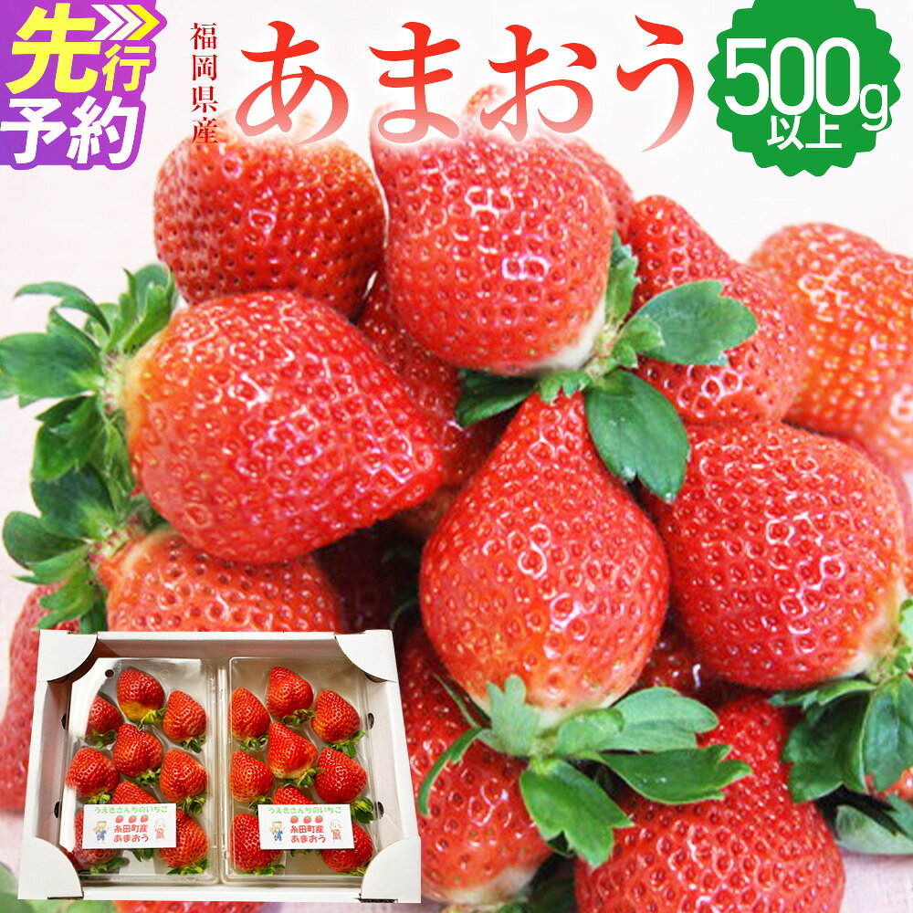 【ふるさと納税】福岡県産 あまおう 2パック 合計約500g以上 いちご 苺 フルーツ 果物 九州産 糸田町産 送料無料 【2027年1月上旬-3月下旬発送】
