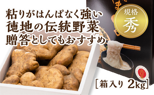 
                  D536 徳地やまのいも箱入り2㎏(秀)
                