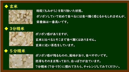 a*50　車久米穀販売　多度大社の麓で採れた農家直送米　玄米10kg 【選べる精米度合い】
