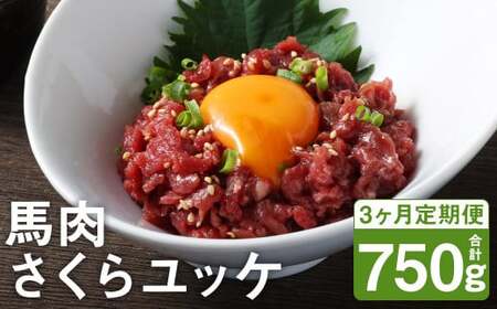【3ヶ月定期便】 馬肉 さくらユッケ 250g（50g×5パック）×3回 《お申し込みの翌月発送》お肉 肉 ユッケ 赤身 馬刺し 馬刺 馬ユッケ 定期 小分け カット 冷凍