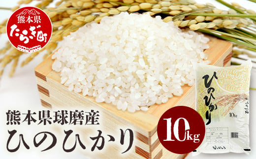 
            【令和7年度産 新米】球磨産 ひのひかり 精米 10kg お米 ヒノヒカリ 新米 つやつや 036-0505
          