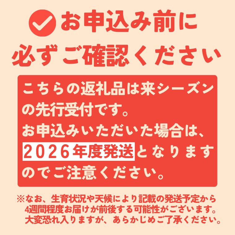 KR15 サンふじ 贈答 中玉 約5kg（14～16玉） 長野県松川町産／11月下旬頃～配送予定//長野県 南信州 リンゴ 林檎 ギフト ふじ さんふじ 農家直送 農家支援 産地直送