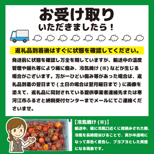 さくらんぼ 「佐藤錦」Lサイズ以上 秀品 1kg（500g×2） バラ詰め 山形県産 【2025年6月上旬頃～下旬頃発送予定】／ お取り寄せ フルーツ 果物 果実 ご当地 特産 東北 道の駅 チェリー
