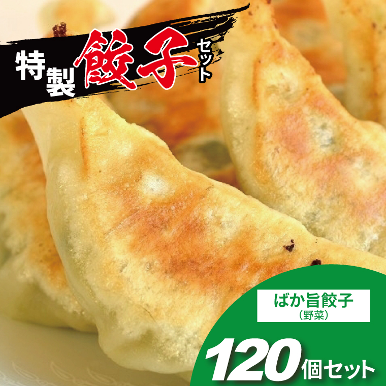 BQ-17 にんにく不使用！　ばか旨餃子　120個