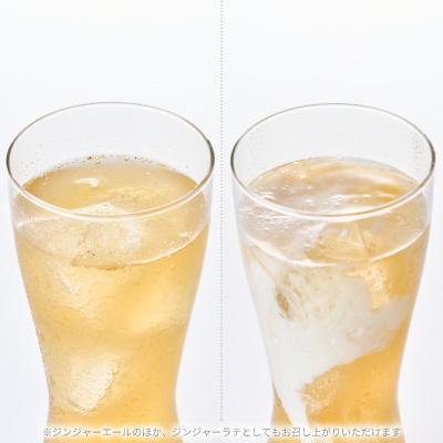 ふるさと納税 あきる野市 【スパイスカレー専門店/山のスパイス】　自家製ジンジャーエールの素　2本セット |  | 03