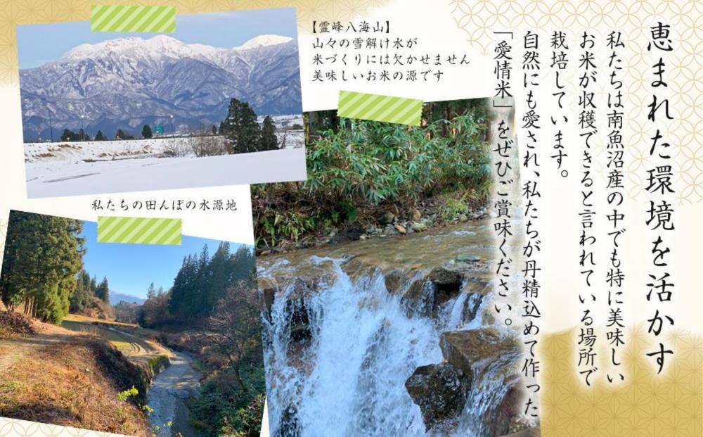 【生産者直送】【令和8年産　新米予約 】南魚沼産こしひかり　白米5kg(5kg×1)　オグライスファーム＜コシヒカリ 精米 農家直送＞【銘柄米 ブランド米 精米 こしひかり】【2026年10月中旬から1ヶ月以内に順次発送予定】