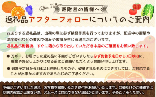 【濃厚】有田の不知火 約6.5kgご家庭用向け （サイズ混合） ※2025年2月中旬～2025年2月下旬頃に順次発送予定（日付指定不可）【tec864】