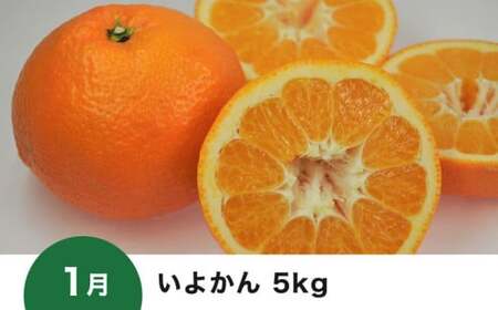 【愛媛県共通返礼品】【定期便】愛媛の柑橘定期便（全6回）（日の丸みかん・紅まどんな・いよかん・不知火（デコポン）・せとか・河内晩柑）◇ ※2026年11月～発送
