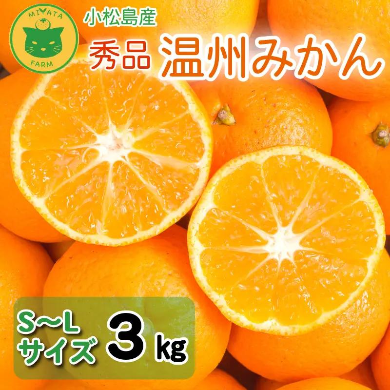 【2026年10月20日~31日発送】 温州みかん 3kg 秀品 みかん