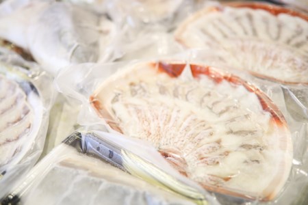 宿毛を代表する「真鯛」と「ブリ」のしゃぶしゃぶ鍋セット