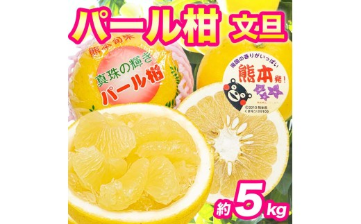 先行予約 パール柑 文旦 秀品 約5kg 【2027年2月上旬～2027年3月下旬発送予定】ぱーるかん ぶんたん 果物 フルーツ くだもの 柑橘 柑橘類 グレープフルーツ 国産 熊本 九州 産地直送 秀品 高品質 酸味控えめ 日本フルーツ
