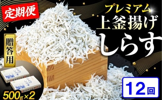 【定期便12回】釜揚げしらす 1kg(500g×2箱) 冷凍 箱入り 計24箱 惣菜 弁当 便利 ランキング 減塩 無添加 無着色 ご飯 ごはん 丼 料理 国産 カネ成 シラス おつまみ お取り寄せ お取り寄せ サラダ グルメ 人気 おすすめ シラス しらす しらすごはん shirasu sirasu SIRASU 人気シラス 愛知県 南知多町