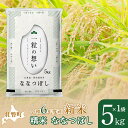 【ふるさと納税】【新米】【令和6年産米】北海道壮瞥産 ななつぼし 5kg 米 北海道米 ななつぼし 【 ふるさと納税 人気 おすすめ ランキング 新米 米 お米 コメ こめ ななつぼし 精米 白米 ごはん ご飯 壮瞥産 北海道 壮瞥町 送料無料 】 SBTE033