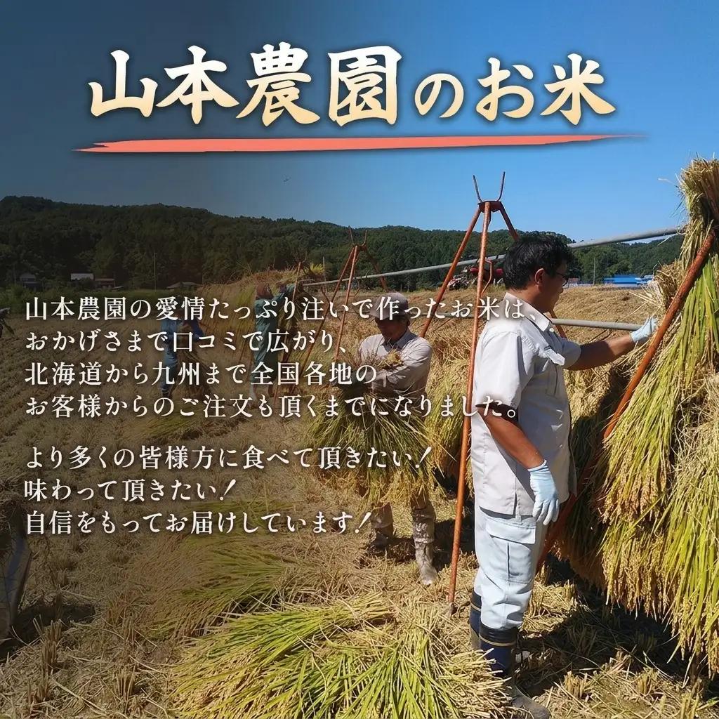 山本農園 イセヒカリ 奇跡のお米 2kg 精米 イセヒカリ
