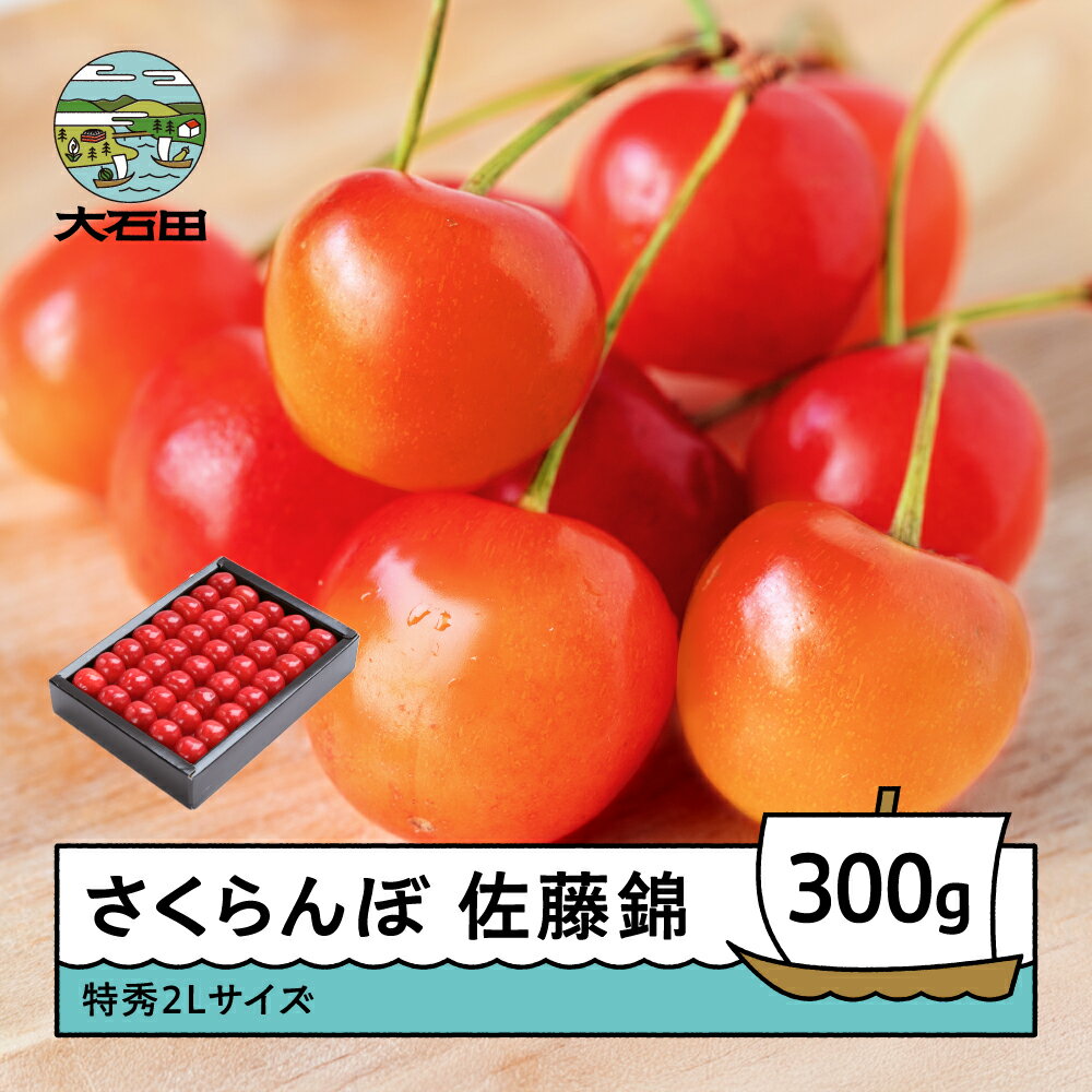 【ふるさと納税】 さくらんぼ 佐藤錦 6月上旬〜下旬発送 特秀2Lサイズ プレゼント ギフト 化粧箱鏡詰め 300g 2026年産 山形県産 送料無料 サクランボ ns-snt2x300
