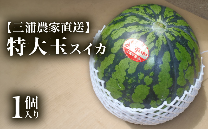 
            【三浦農家直送】特大玉スイカ（1個入り）　M003-004
          
