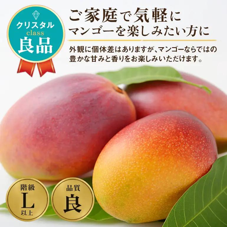 ぼうけんの国 宝石マンゴー 【良品】アーウィンマンゴー クリスタルclass 約1kg ku01-007