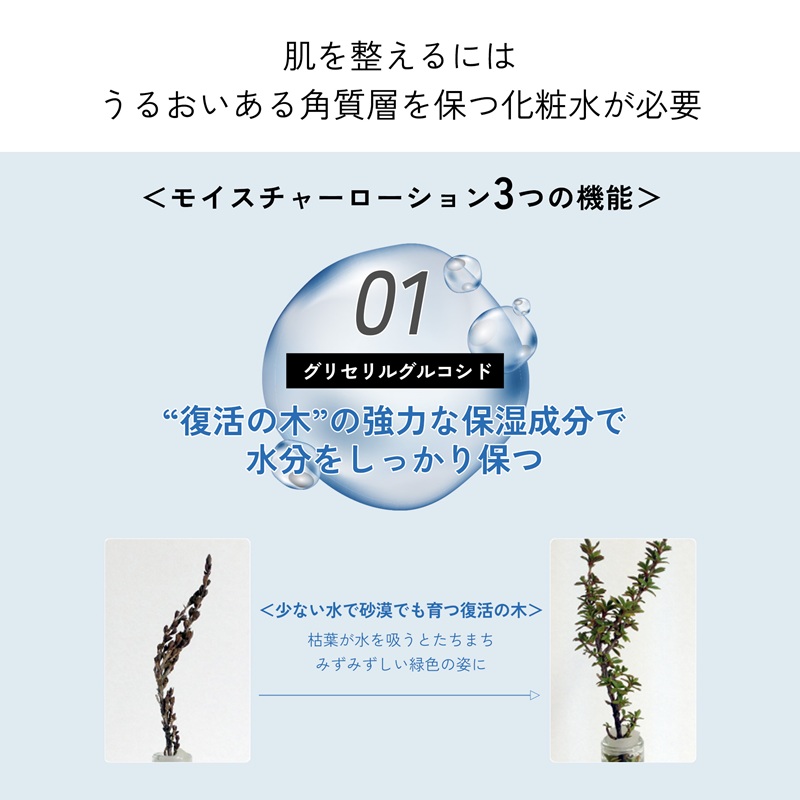 lulumo　モイスチャーローション　敏感肌化粧水 ALPBU007