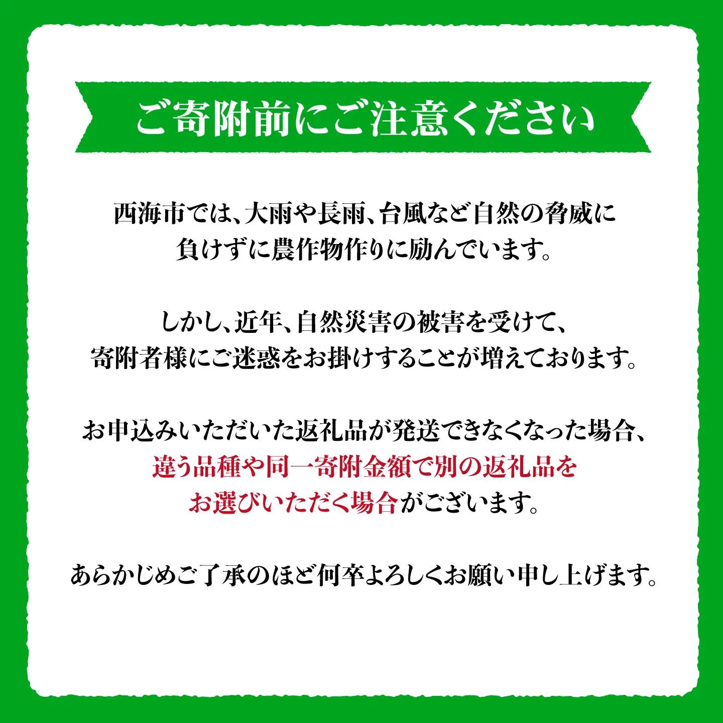  極早生みかん 5kg [CCZ001] みかん