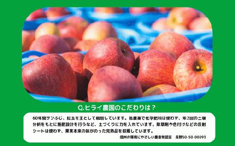 りんご 紅玉 秀 ～ 特秀 4.5kg ヒライ農園 沖縄県への配送不可 2024年10月上旬頃～2024年10月下旬頃まで順次発送 令和6年度収穫 信州の環境にやさしい農産物認証 飯綱町 [0362]