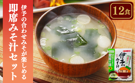 【味噌】 愛媛・伊予の合わせみそが楽しめる即席みそ汁セット （12食入り）| ギノーみそ【GNM022】