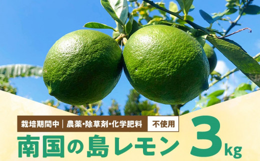 ■【先行受付】栽培期間中 農薬・除草剤・化学肥料不使用！南国の島レモン 3kg！【2026年9月～2027年2月下旬お届け】　W043-004u