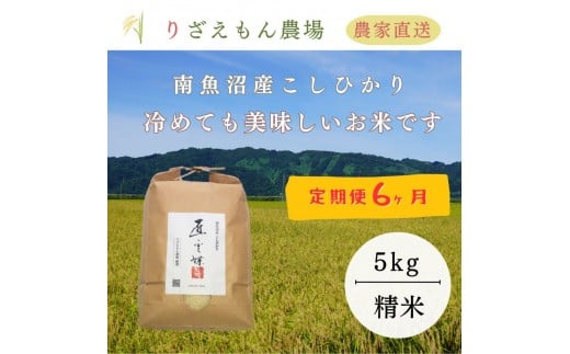 《新米予約受付》【定期便６回×５kg≪合計３０kg≫】令和7年産　南魚沼産コシヒカリ　白米 5kg　＼生産農家直送／【2025年10月上旬より順次発送予定】
