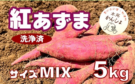 木所かんしょ（紅あずま）５㎏【栽培期間中化成肥料不使用】洗浄済 さつまいも ミックス