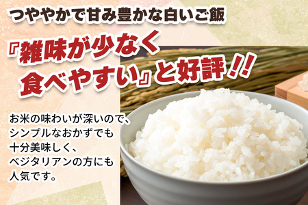 [JAS有機認定] 日光ダイヤ舞【白米20kg(5kg×4袋)】令和6年度新米｜2024年度米 新米 有機栽培こしひかり オーガニック JAS有機 コシヒカリ 精米 お米 ごはん 国産 産地直送 [0