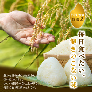 まなむすめ 定期便3回/5kg×1袋 令和8年産 新米先行予約 宮城県産 米 精米 白米 米 コメ お米 おこめ ブランド米 ご飯 ごはん
