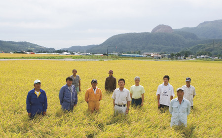 【新米】【令和6年産米】北海道壮瞥産 ゆめぴりか 計30kg（5kg×1袋 6ヵ月定期配送） 【 ふるさと納税 人気 おすすめ ランキング 新米 米 お米 コメ こめ ゆめぴりか 精米 白米 ごはん 