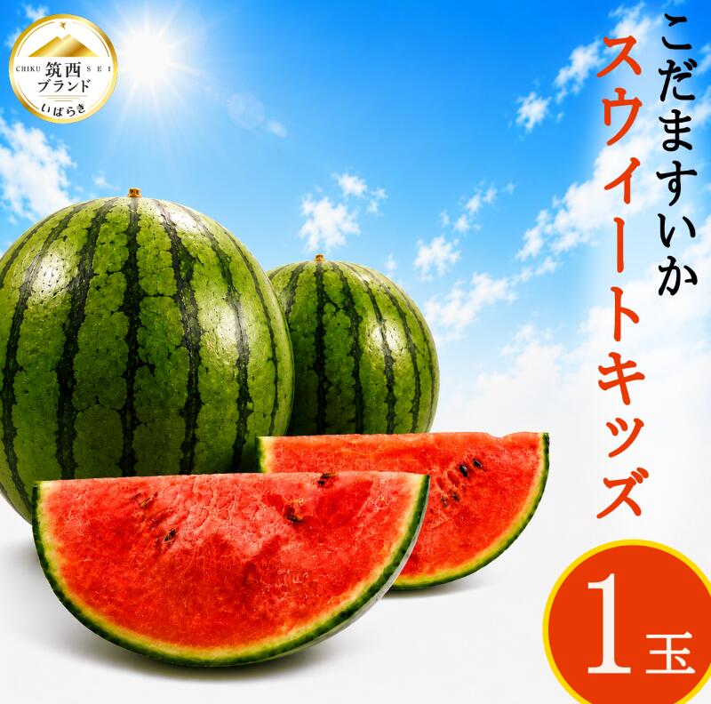 【ふるさと納税】 【2027年発送】 こだますいか 1玉 スウィートキッズ 小玉スイカ コダマスイカ こだまスイカ すいか 西瓜 甘い ジューシー 旬の果物 夏 初夏 suika fruits 果物 くだもの デザート フルーツ 茨城県産 関東 茨城 筑西 2027年産 JA 北 つくば