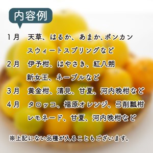 定期便 4回 季節 柑橘 みかん 詰め合わせ 第一マルエム 減農薬 はるか あまか ポンカン 伊予柑 ネーブル 文旦 みかん 新女王 黄金柑 清見 甘夏 御荘ゴールド みかん 河内晩柑 タロッコ レモ