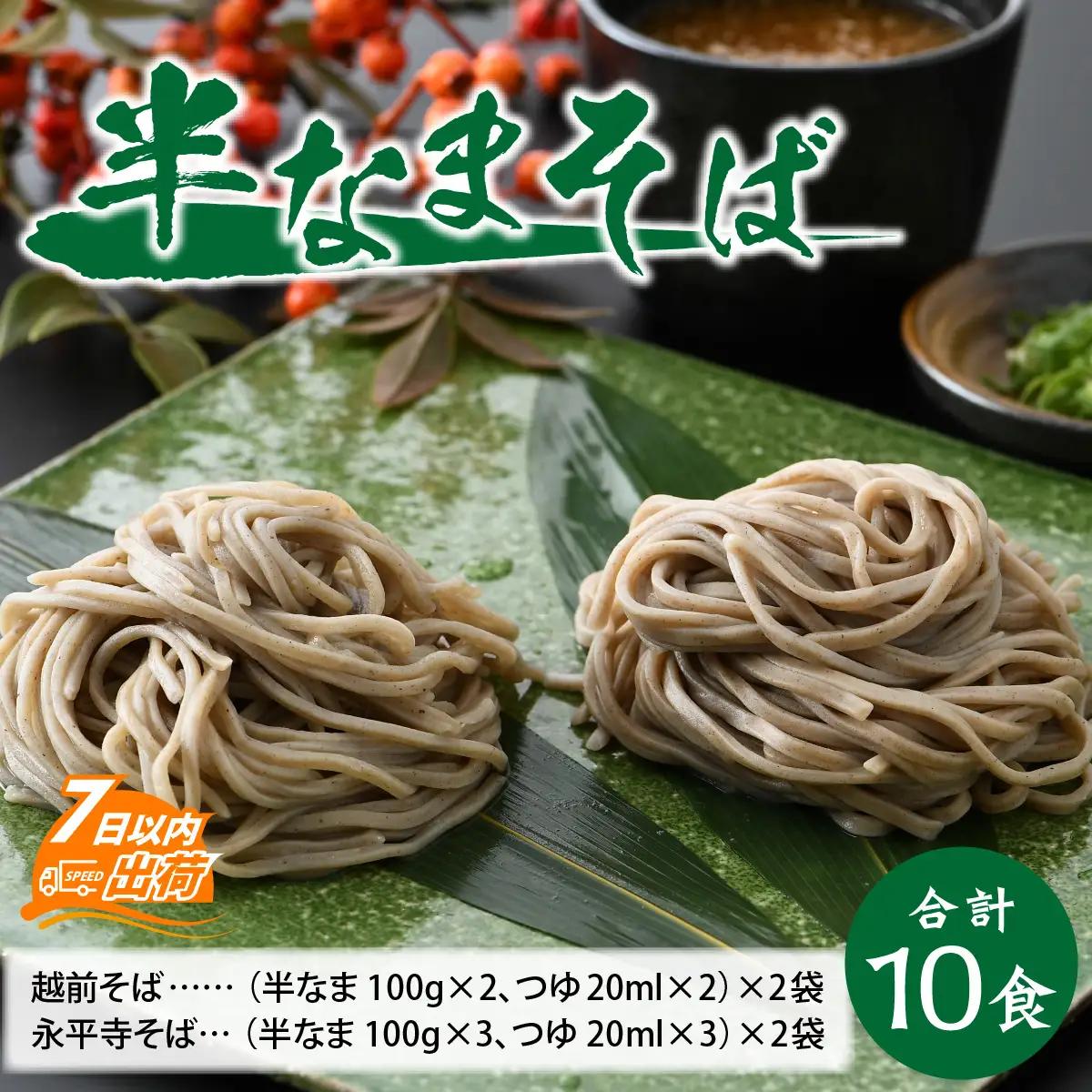 ヤマサ製麺 半生そば 10食（越前そば4食+永平寺そば6食） [A-120008] 