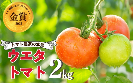 《先行予約》 濃厚！ウエタトマトのトマト 2kg 