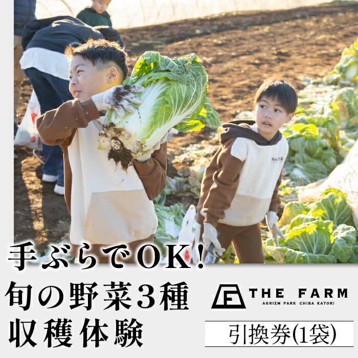 【ふるさと納税】 手ぶらでOK!THE FARMの旬の野菜収穫体験引換券(1袋) TFM005